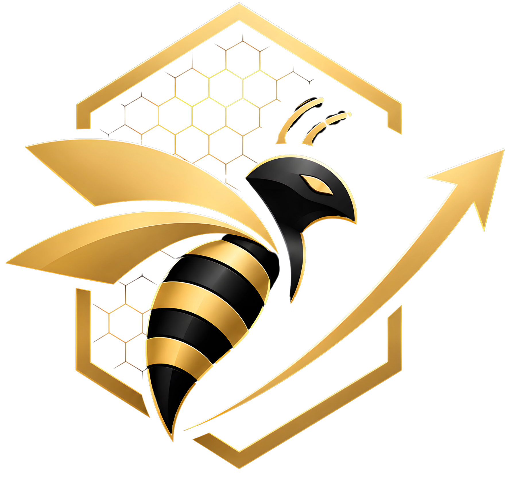 Hype Hive Marketing USA